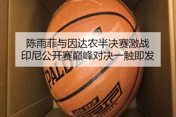 陈雨菲与因达农半决赛激战 印尼公开赛巅峰对决一触即发
