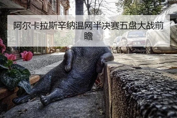 a-er-ka-la-si-xin-na-wen-wang-ban-jue-sai-wu-pan-da-zhan-qian-zhan-3-906.jpg