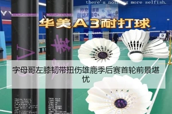 zi-mu-ge-zuo-xi-ren-dai-niu-shang-xiong-lu-ji-hou-sai-shou-lun-qian-jing-kan-you-3-281.jpg