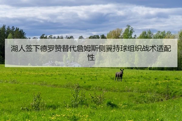 hu-ren-qian-xia-de-luo-zan-ti-dai-zhan-mu-si-ce-yi-chi-qiu-zu-zhi-zhan-shu-shi-pei-xing-2-400.jpg